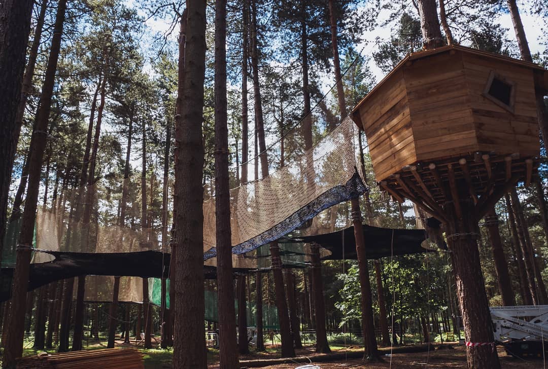 Nets kingdom Go Ape | Visit Notts